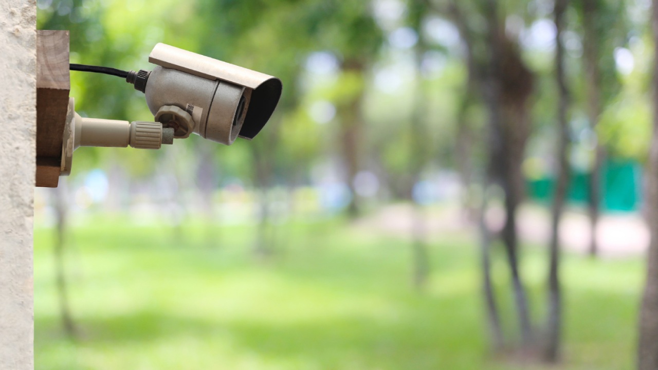 Zona rural também precisa de vigilância? Entenda os riscos - Brasil Protege